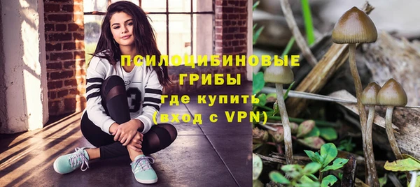 не бодяженный Армянск