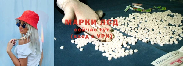 ГАЛЛЮЦИНОГЕННЫЕ ГРИБЫ Алексин