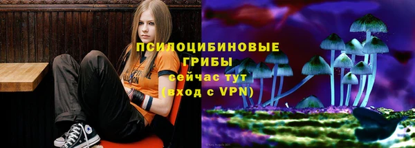 амфетамин Аркадак